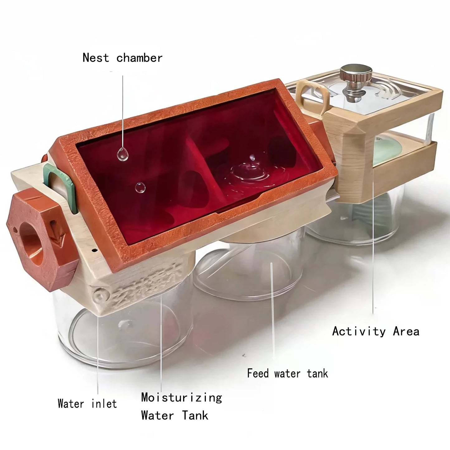 Red light-blocking panel installed on the 3D ant farm nest, side view with acrylic shell
