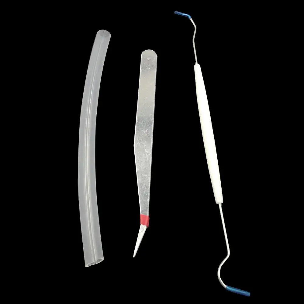 Tweezers and soft hairbrush for safe ant handling included in the formicarium toolkit