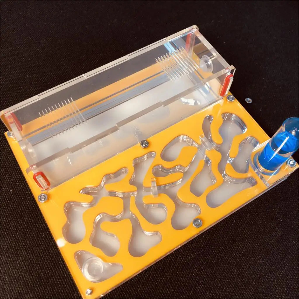 Acrylic Ant Farm with Test Tube Moisture Nest, 150×110mm