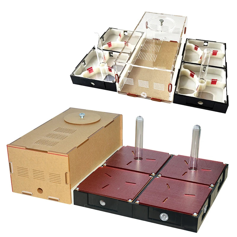 Red shading plate installed on gypsum ant nest module for stress-free colony observation