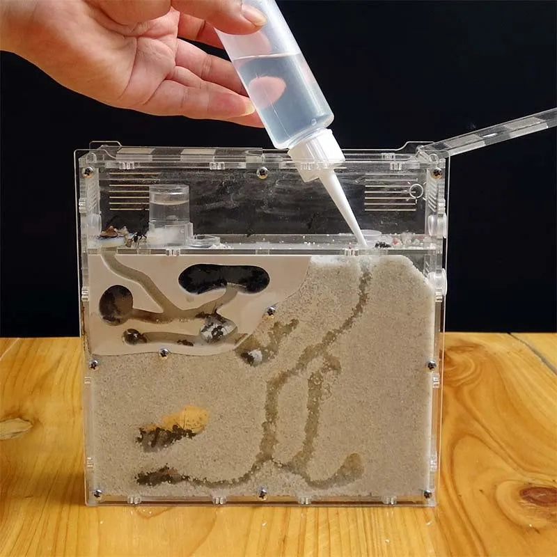 Ant Factory Ants House Castle Insects Terrarium Ant Cage Insects Box Nursery Ecological Kid Educational Tool S21