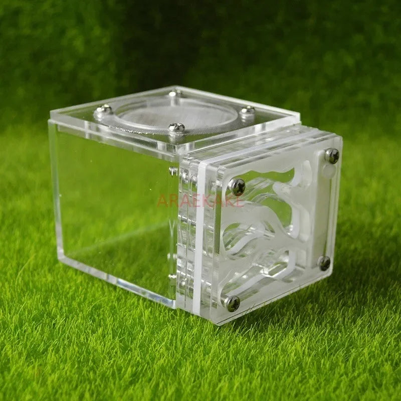 Acrylic Mini 3D Ant Nest, 5 Color Variants
