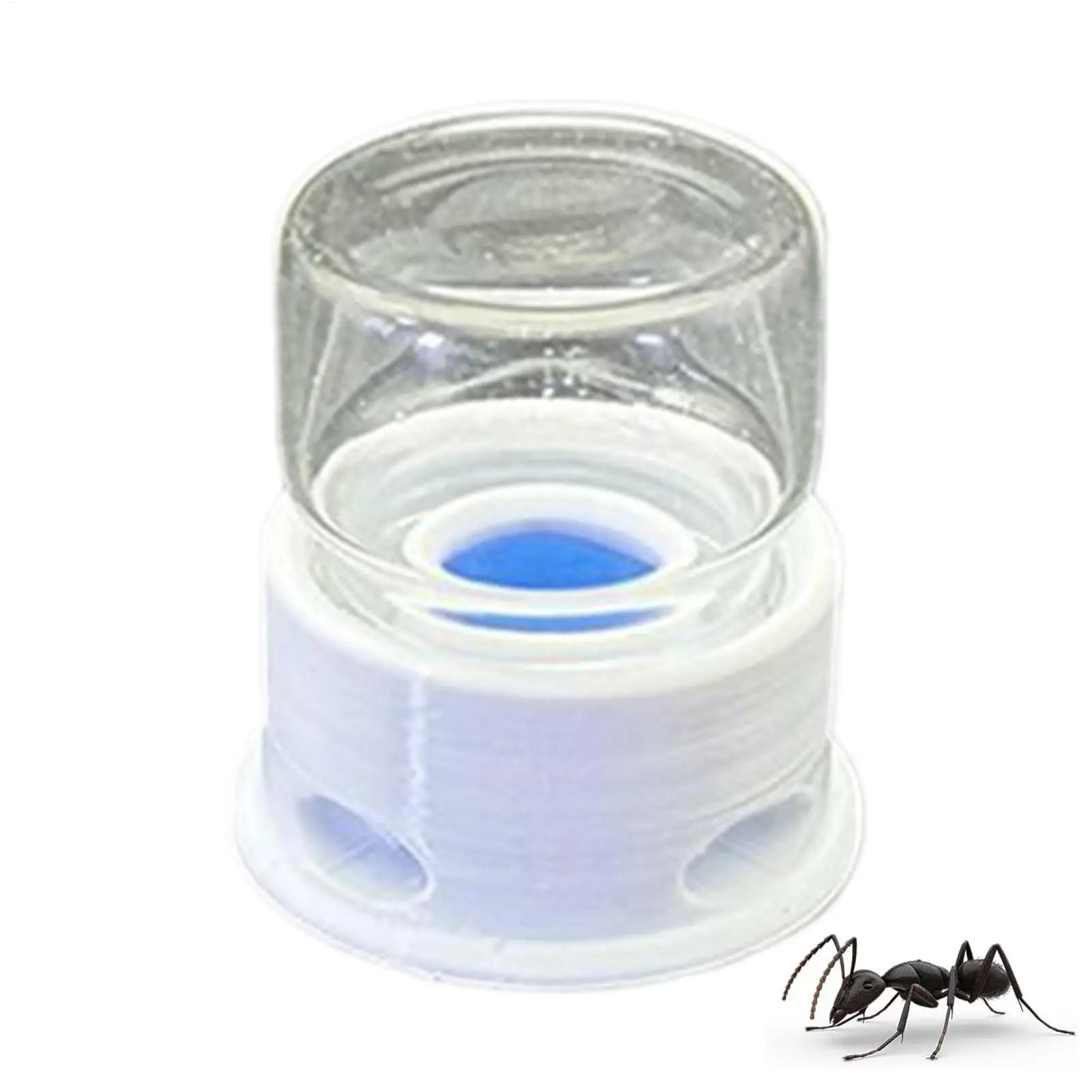 Top view of clear ant drinking station showing stepped interior ledges at 3.6x3.8cm