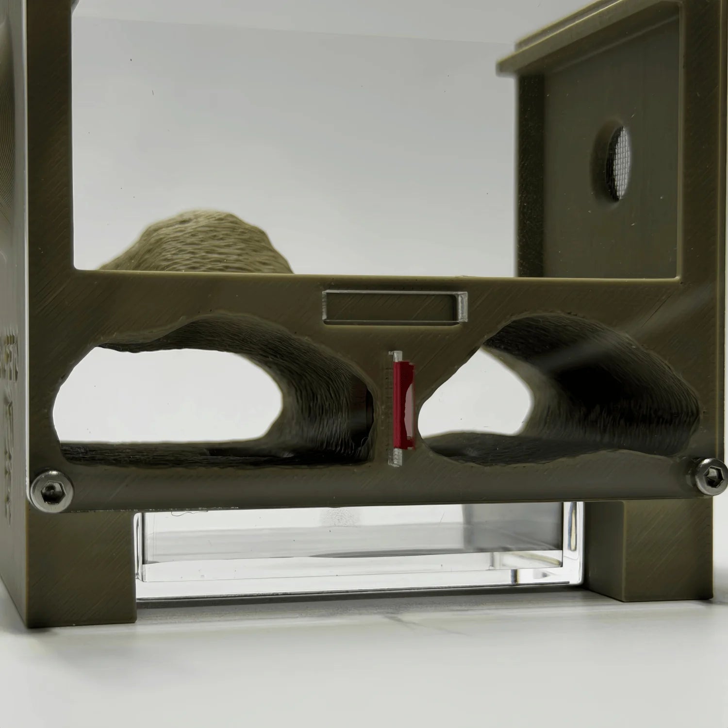 EXOPETO mini5 formicarium side profile showing compact vertical nest dimensions