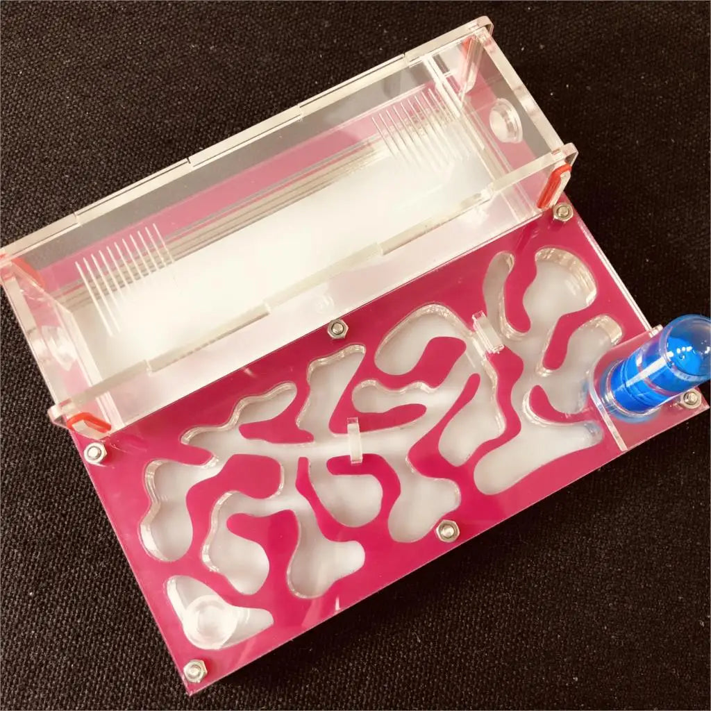 Acrylic Ant Farm with Test Tube Moisture Nest, 150×110mm