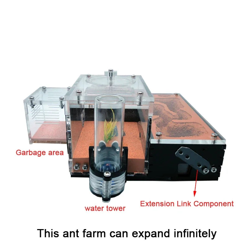 Gypsum ant farm interior chamber texture providing natural substrate feel for founding queen