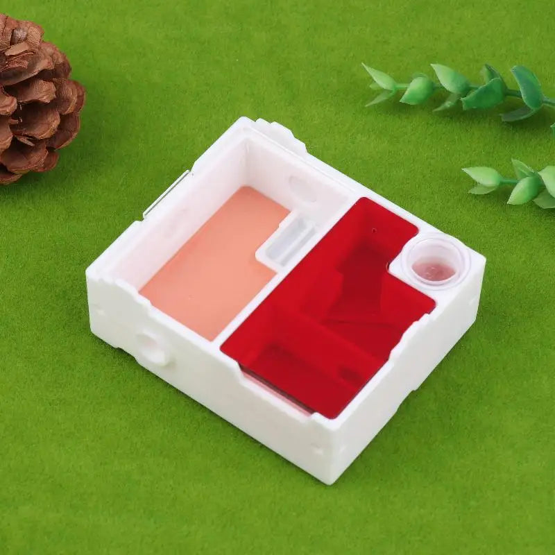 Flat ant farm dimensions 8.5 x 7 x 3.2 cm shown with scale reference