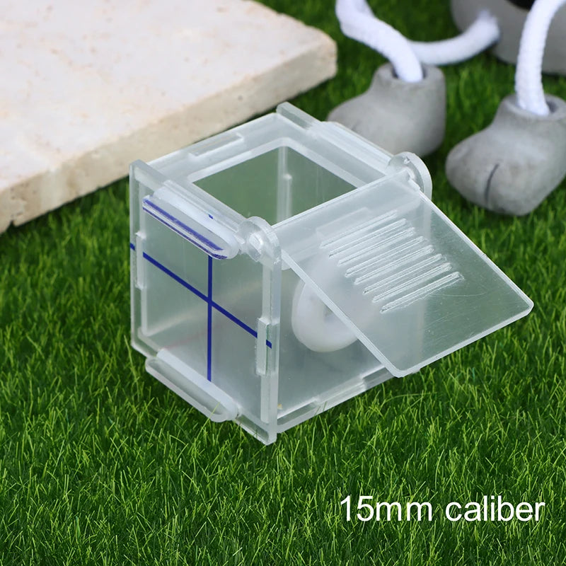 Ant farm test tube nest acrylic top-down view showing interior foraging space