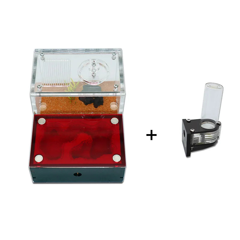 Yellow Soil Ant Farm Kit with Water Tower and Queen Area