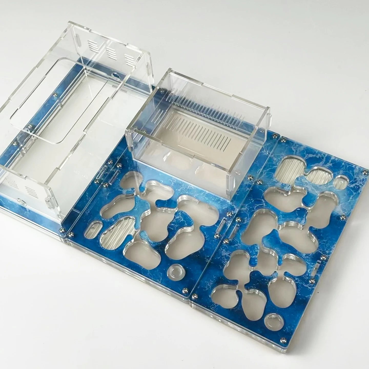 Modular Ant Farm Formicarium with Expansion Ports, Acrylic + Concrete