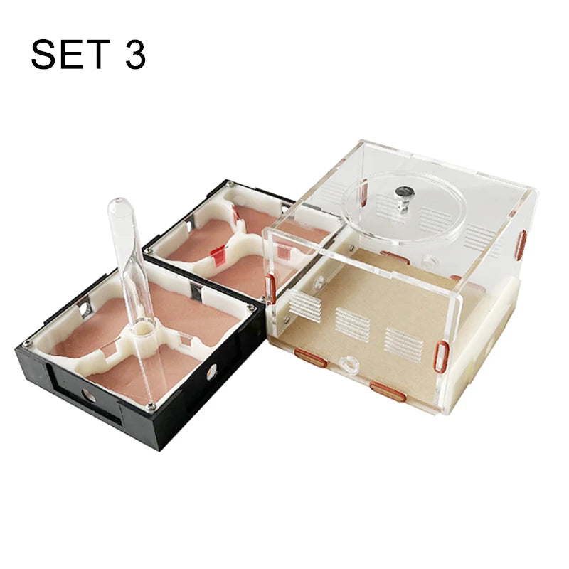 Modular Acrylic Ant Farm with Gypsum Nest + Water Tower