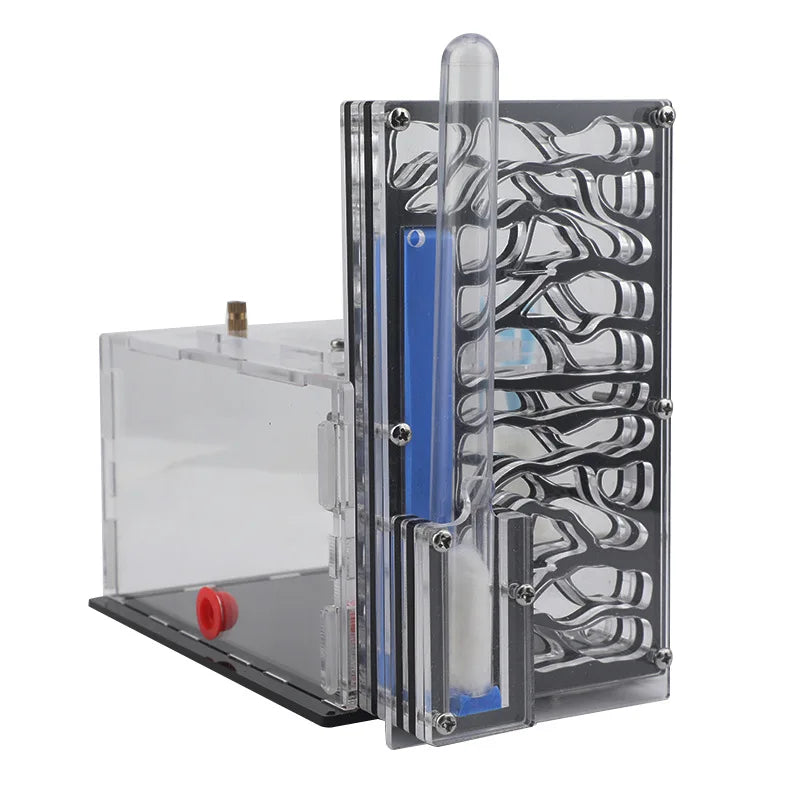 Big Villa Acrylic Ant Farm with Moisture Chamber