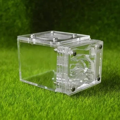 Acrylic Mini 3D Ant Nest, 5 Color Variants