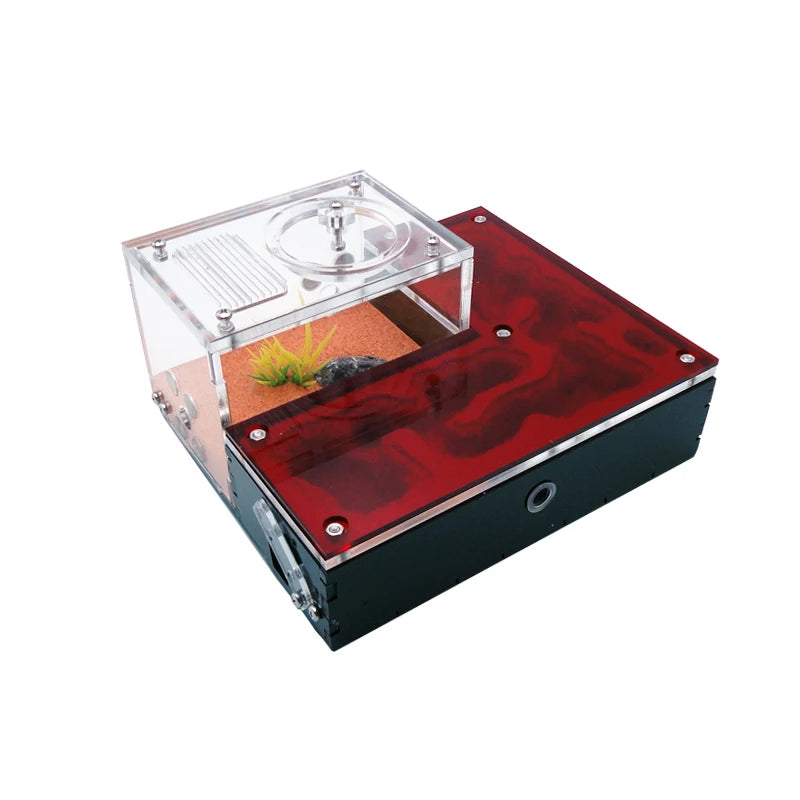 Gypsum ant farm mini CC with Lasius niger colony visible through clear acrylic viewing panel