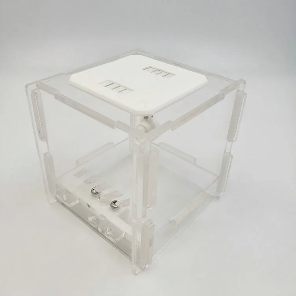 Bow-back chamber profile of acrylic formicarium, side view showing curved rear panel