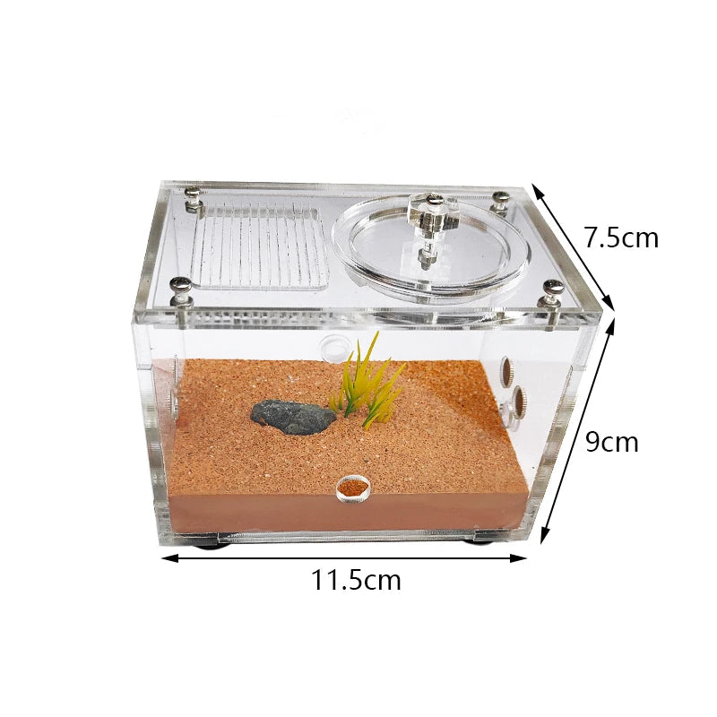 Yellow Soil Ant Farm Kit with Water Tower and Queen Area