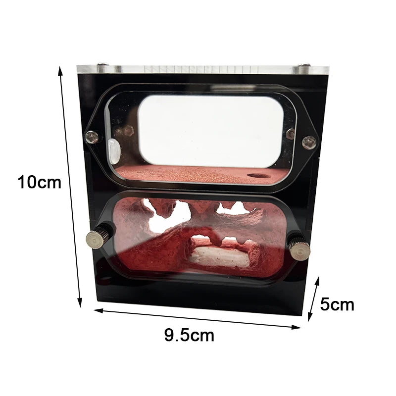 Shading plate accessory included with the concrete ant farm formicarium