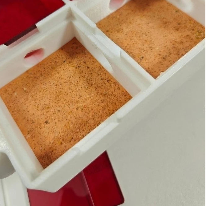 Dry foraging zone of the LP08 flat ant formicarium with super large feeding area