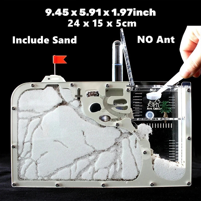 Sand fort ant habitat interior view showing fine-grain substrate and tunnel chamber layout