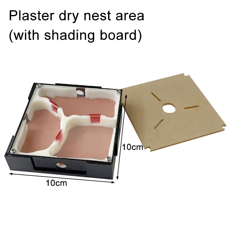 Modular Acrylic Ant Farm with Gypsum Nest + Water Tower