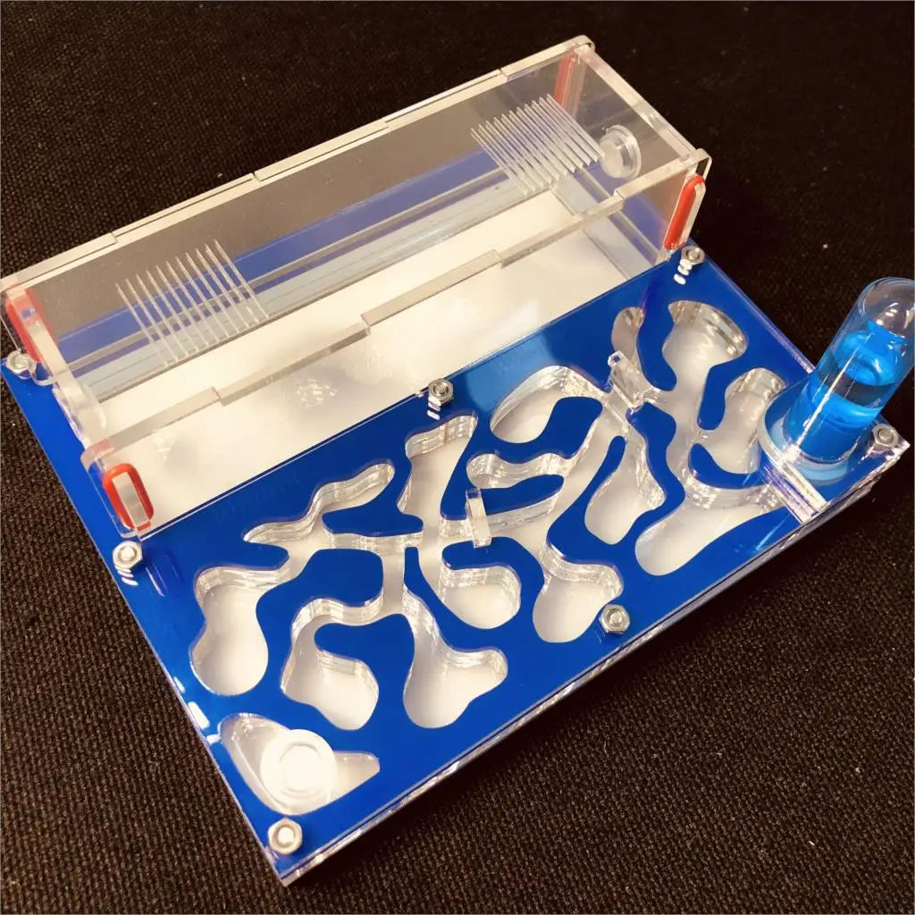 Acrylic Ant Farm with Test Tube Moisture Nest, 150×110mm