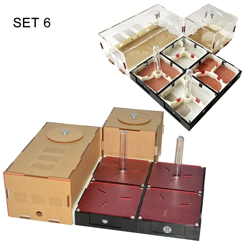 Modular Acrylic Ant Farm with Gypsum Nest + Water Tower