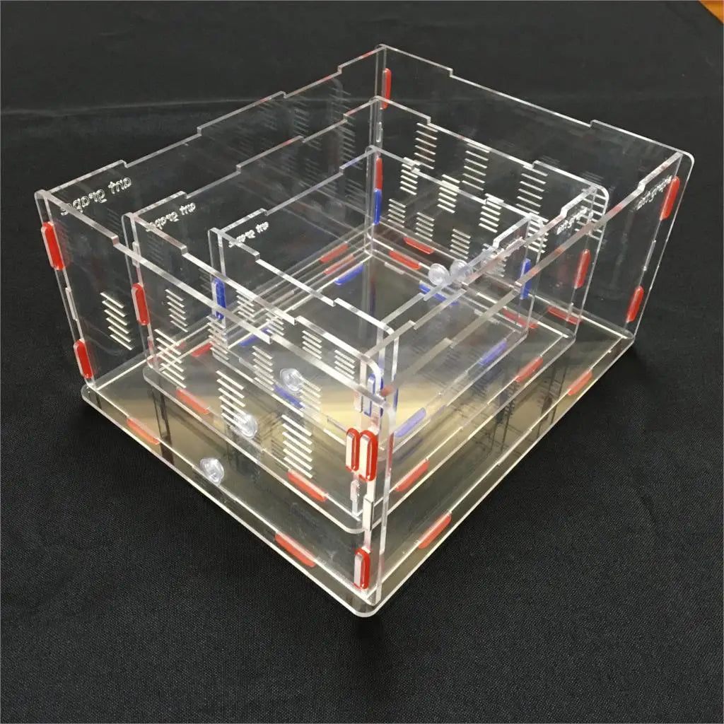 Grape Series XL ant nest yellow color variant acrylic formicarium