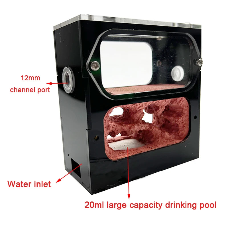 Water injection port on right side of concrete ant nest for easy refilling