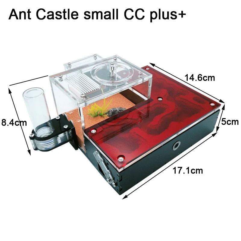 Gypsum Ant Farm Mini CC with Water Tower - Acrylic Nest