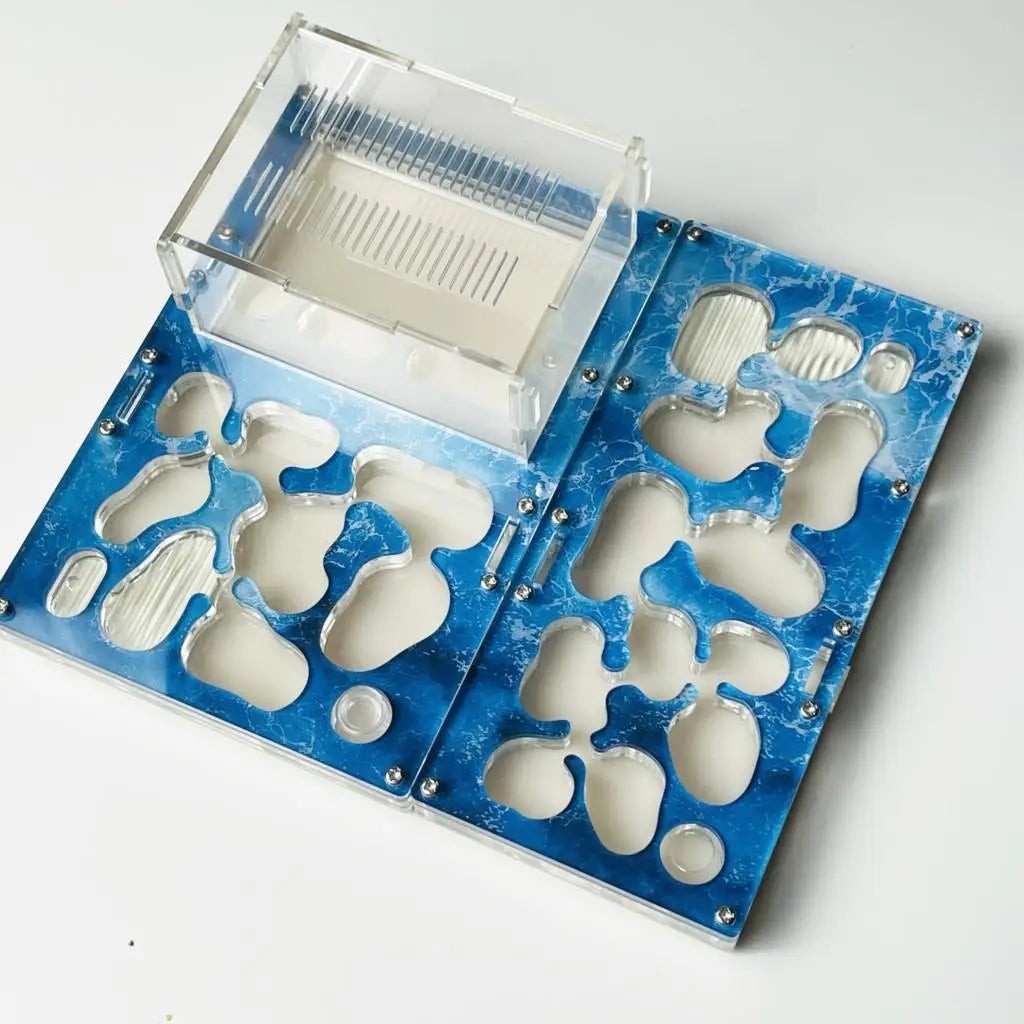 Modular Ant Farm Formicarium with Expansion Ports, Acrylic + Concrete