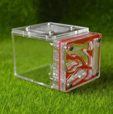 Acrylic Mini 3D Ant Nest, 5 Color Variants