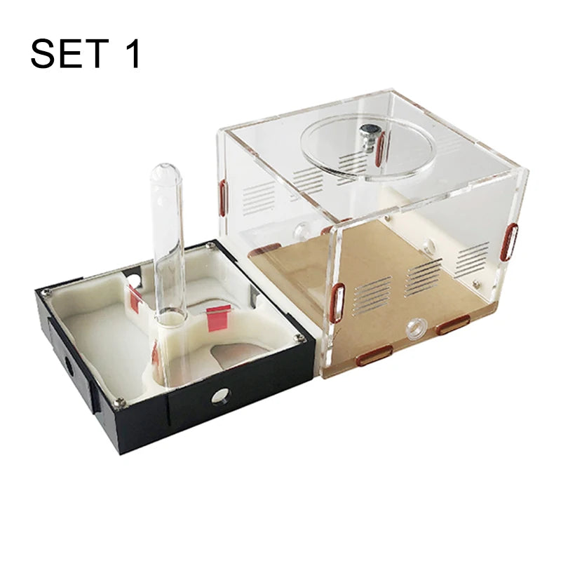 Modular Acrylic Ant Farm with Gypsum Nest + Water Tower