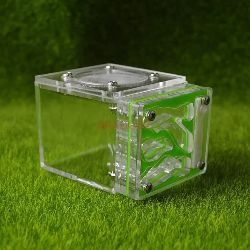 Acrylic Mini 3D Ant Nest, 5 Color Variants