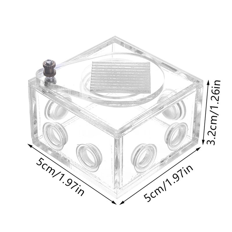 Transparent DIY ant farm feeding box side view showing interior space