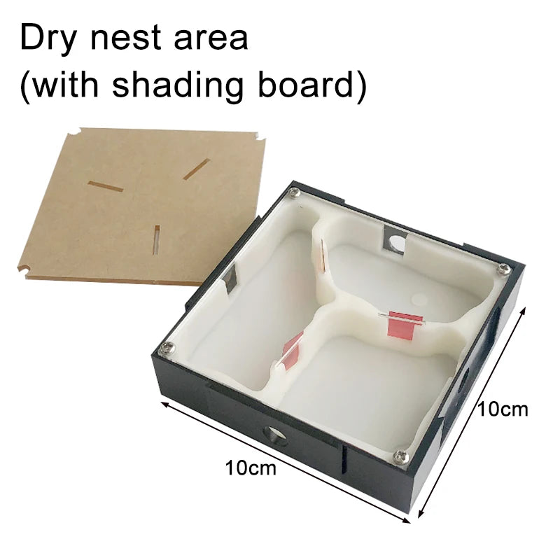 Modular Acrylic Ant Farm with Gypsum Nest + Water Tower