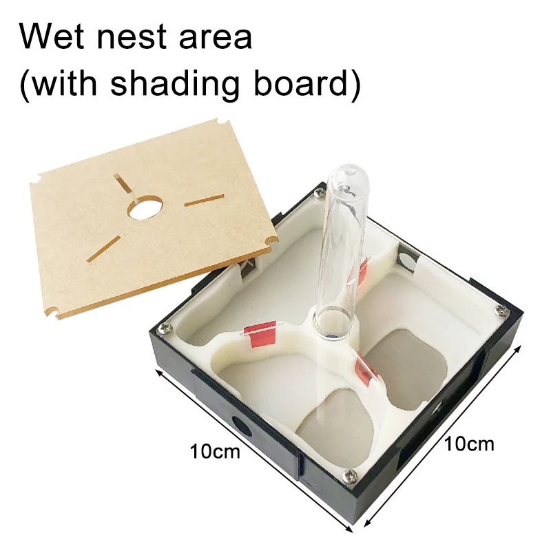 Modular Acrylic Ant Farm with Gypsum Nest + Water Tower