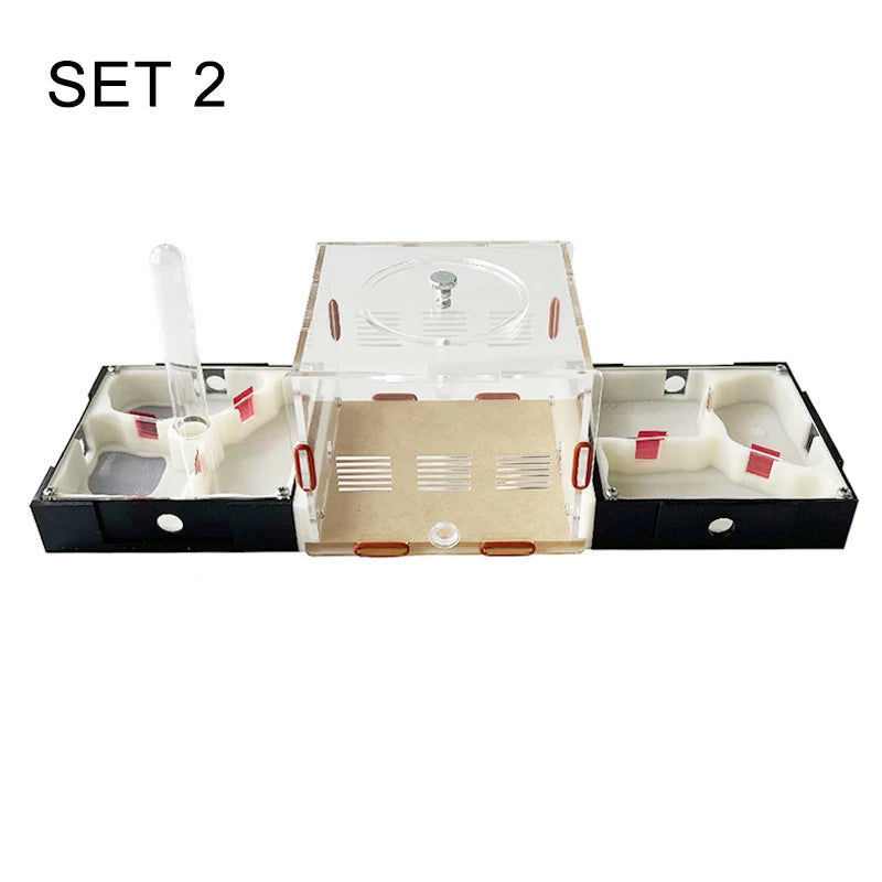 Modular Acrylic Ant Farm with Gypsum Nest + Water Tower