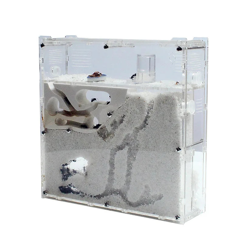 Ant Factory Ants House Castle Insects Terrarium Ant Cage Insects Box Nursery Ecological Kid Educational Tool S21