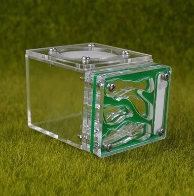 Acrylic Mini 3D Ant Nest, 5 Color Variants