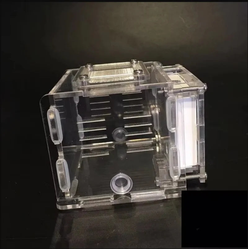 Acrylic ant farm side panel view showing ant tunnels inside plaster block