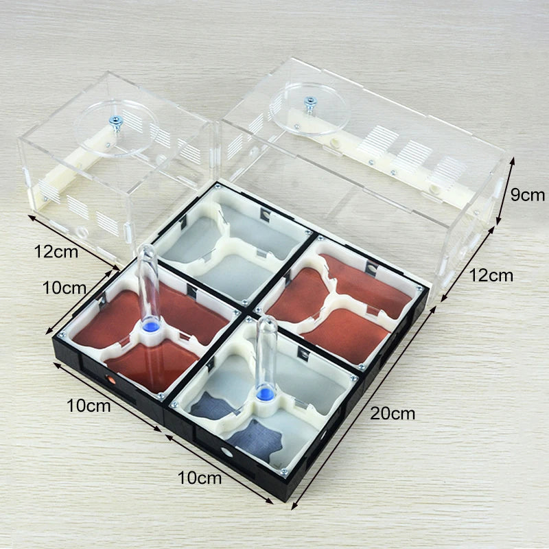 Separate feeding area of the modular ant farm showing clean food zone away from brood chamber