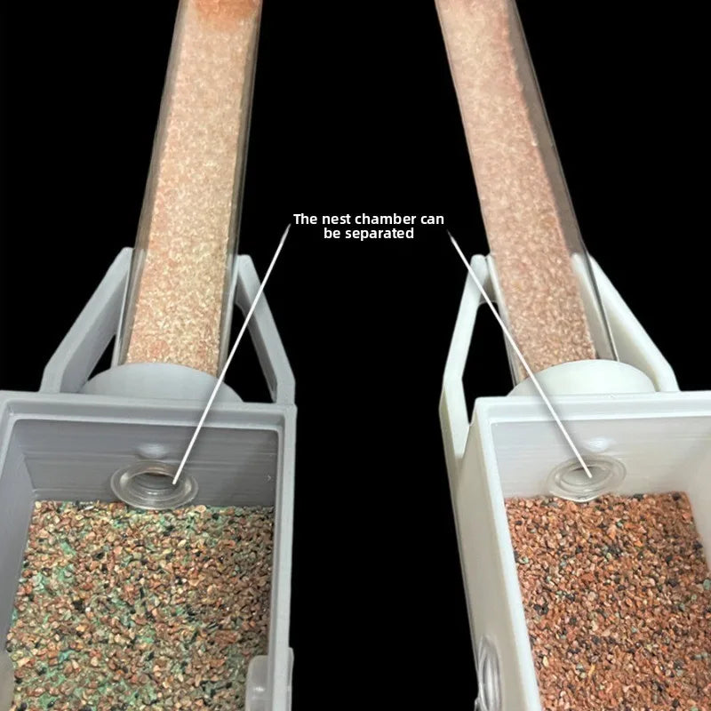Sparrow 1 formicarium variant comparison showing A through E configurations