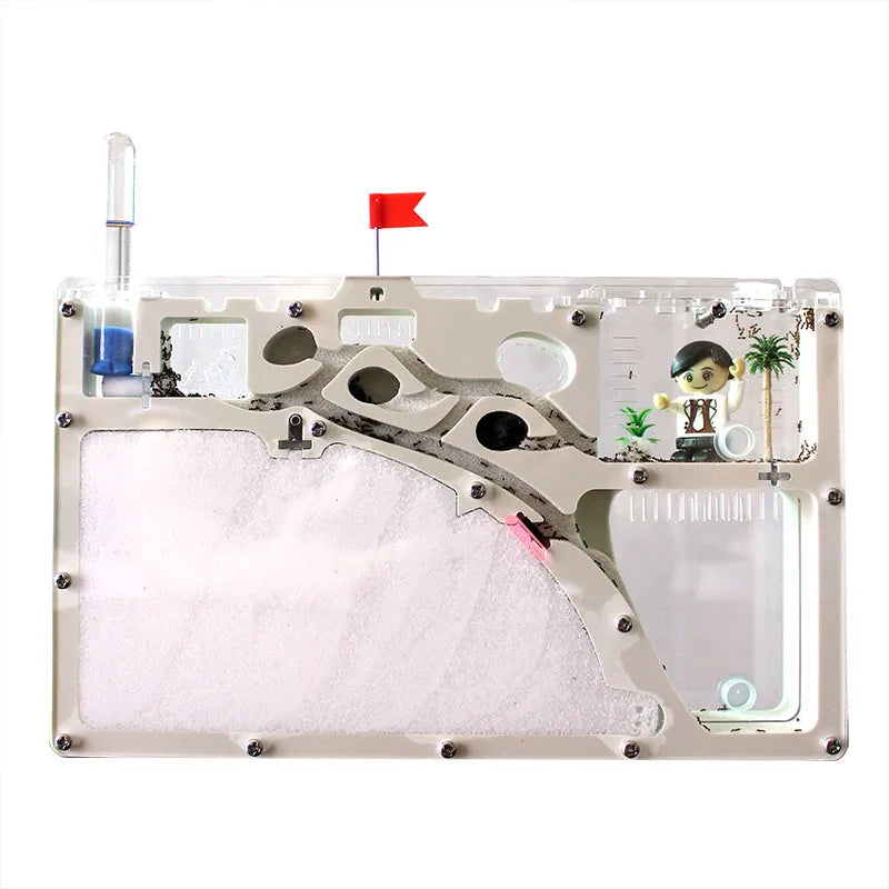Side panel detail of large acrylic ant farm showing communication tunnels between zones