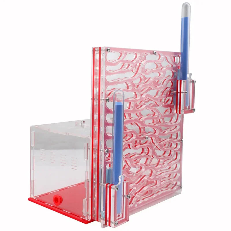 Transparent acrylic ant castle all five color variants side by side