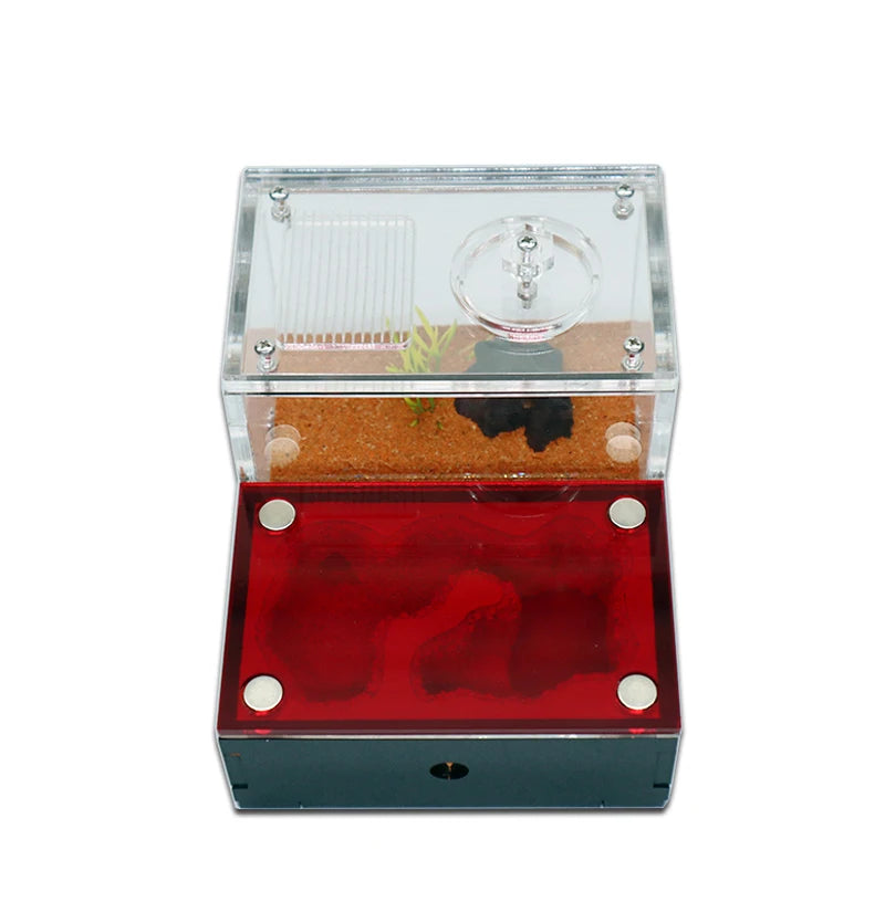 Yellow Soil Ant Farm Kit with Water Tower and Queen Area