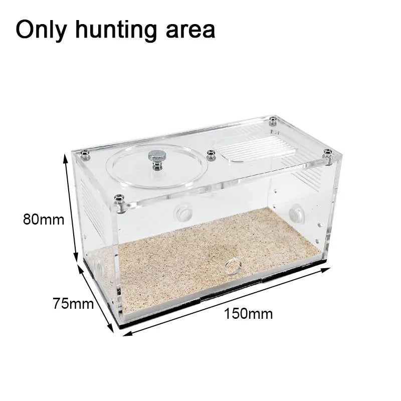 Concrete Expandable Ant Farm Formicarium with Hunting Area