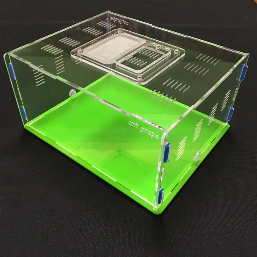 Ant Farm Grape Series XL Acrylic Nest - 5 Colors