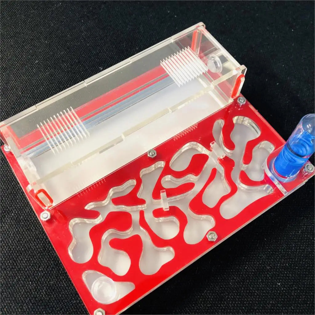 Acrylic ant farm 150x110mm interior chamber detail, moisture zone visible