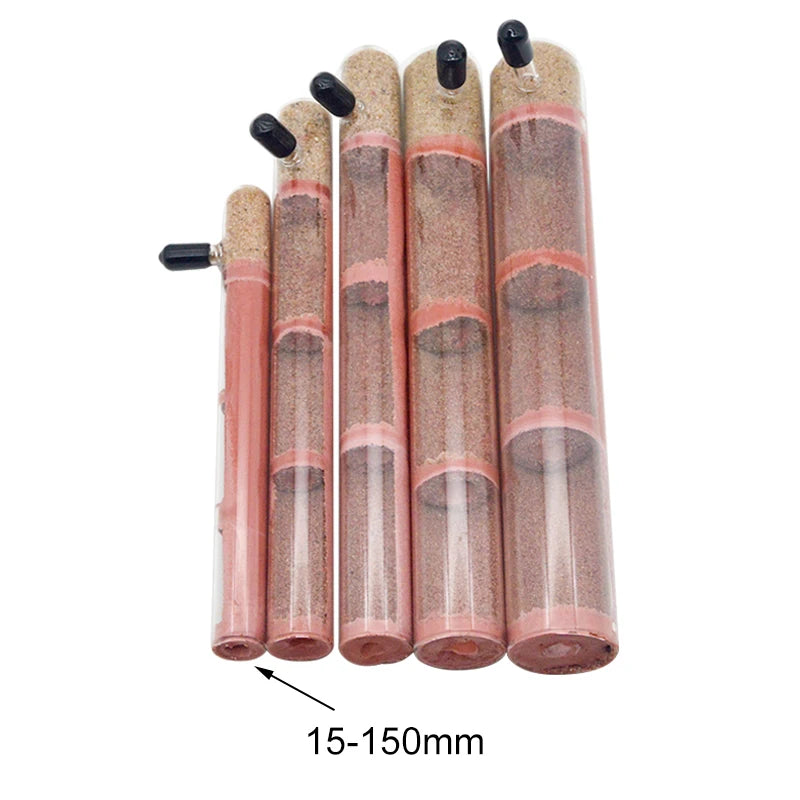 Bamboo ant farm tube packaging showing individual boxed shipping protection
