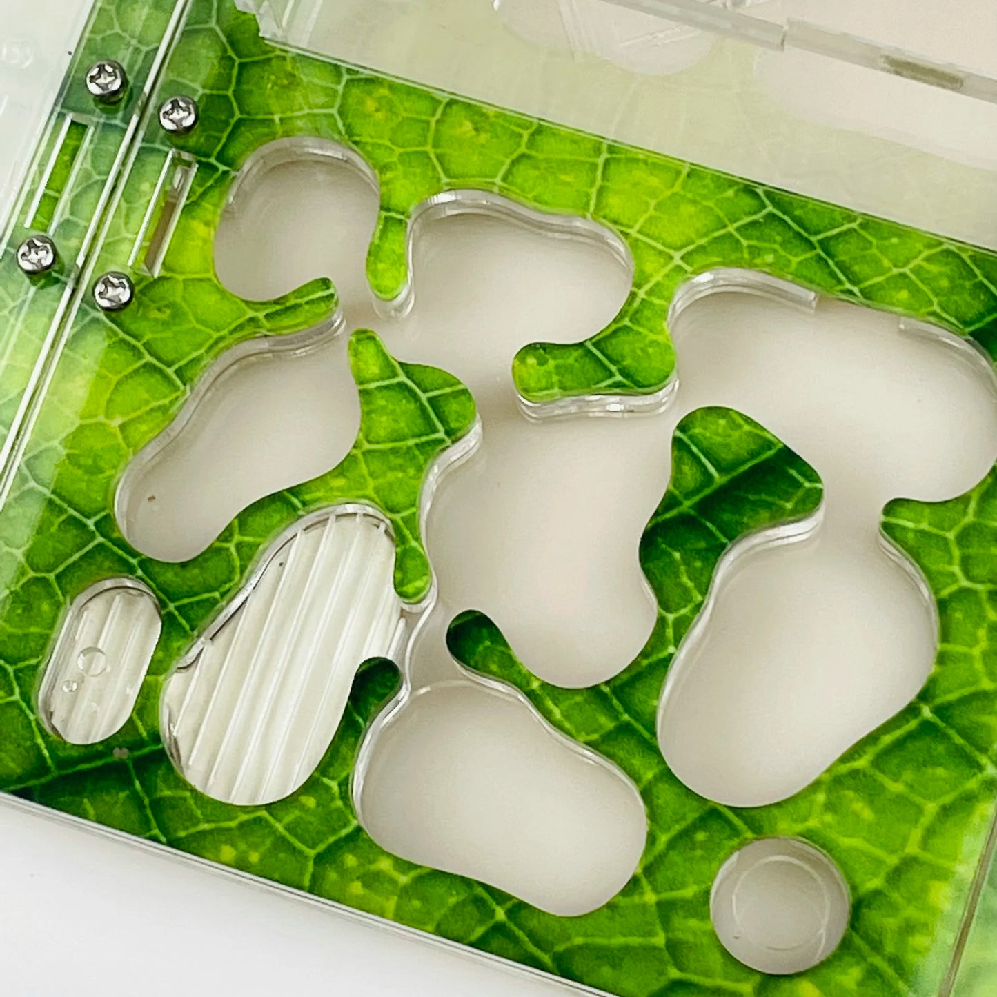 Expansion port connectors on the modular ant farm formicarium, Ocean B variant